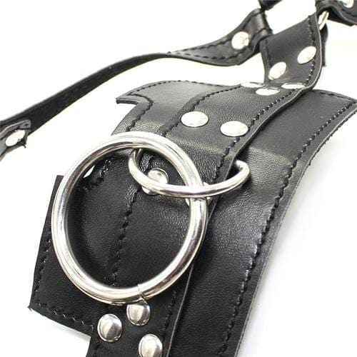 Gags 6163M      Head Trainer Panel Gag Trainer Ball Gag with Lead Ring