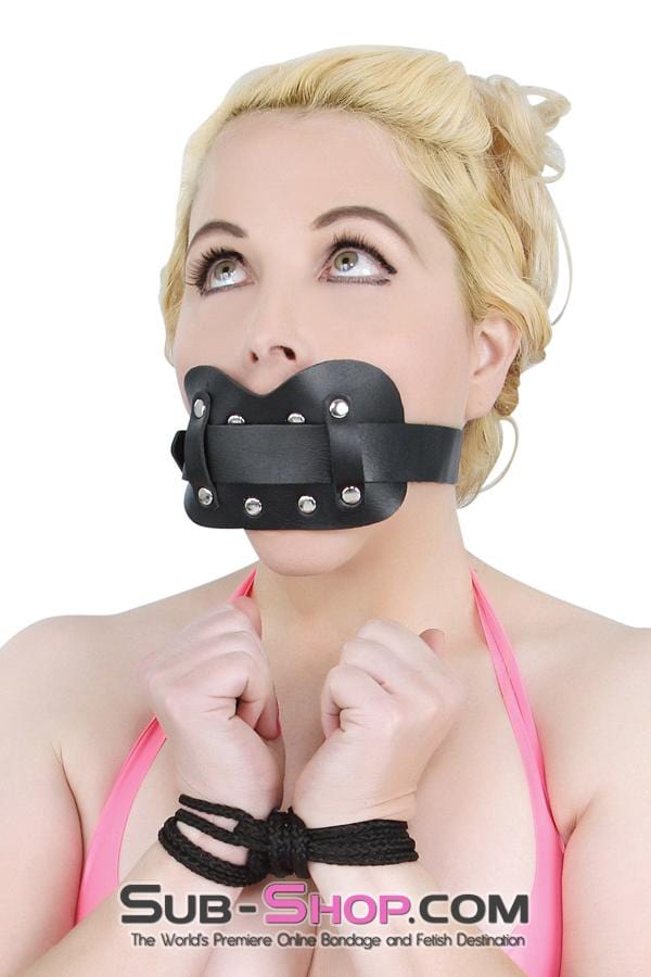 Gags 7004M      Locking Panel Breather Ballgag