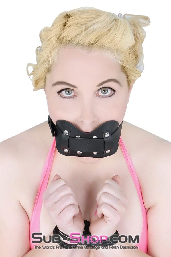 Gags 7004M      Locking Panel Breather Ballgag