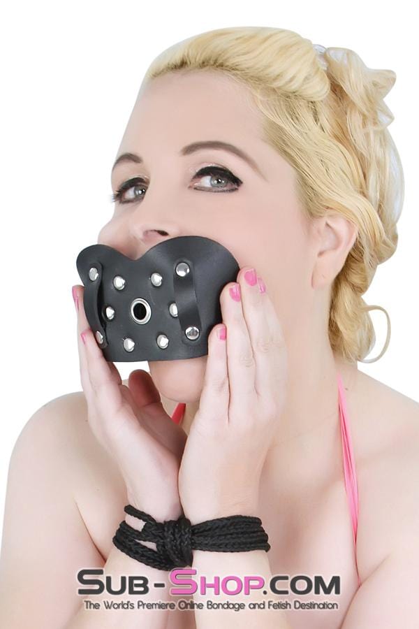 Gags 7004M      Locking Panel Breather Ballgag