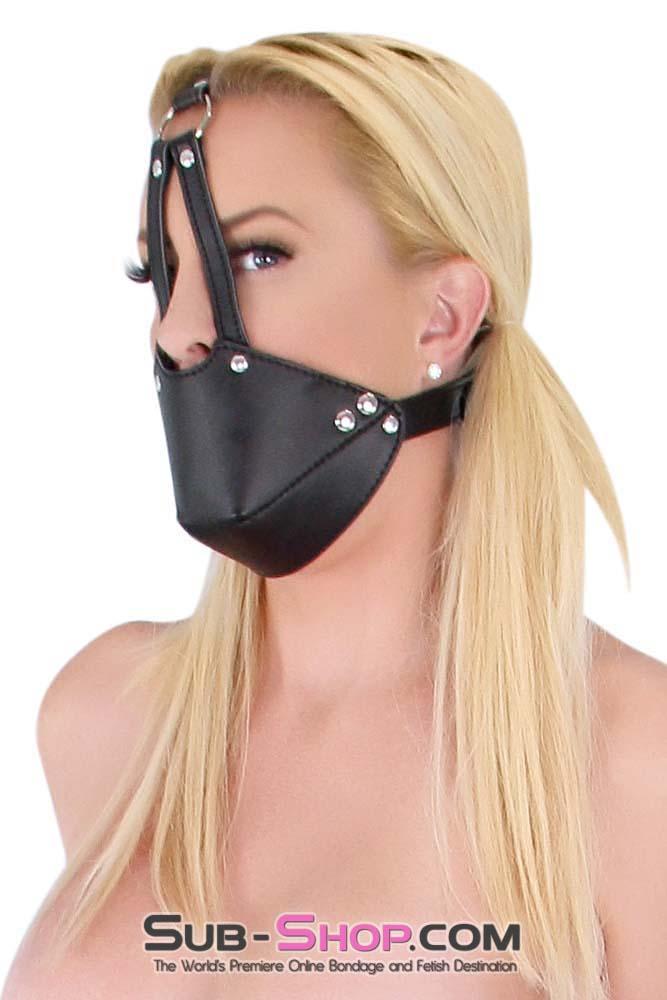 Gags 7875DL      Slave Muzzle Ball Gag Trainer Set