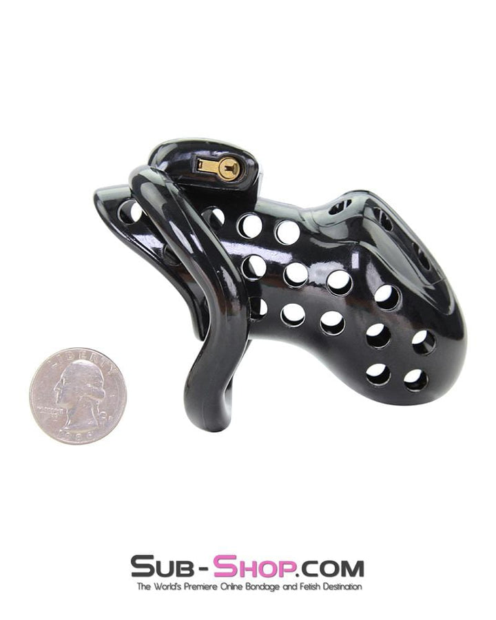 MEGA Deal 1722AR      Boy Toy Black High Security Pin Tumbler Locking Cock Cage Chastity - MEGA Deal