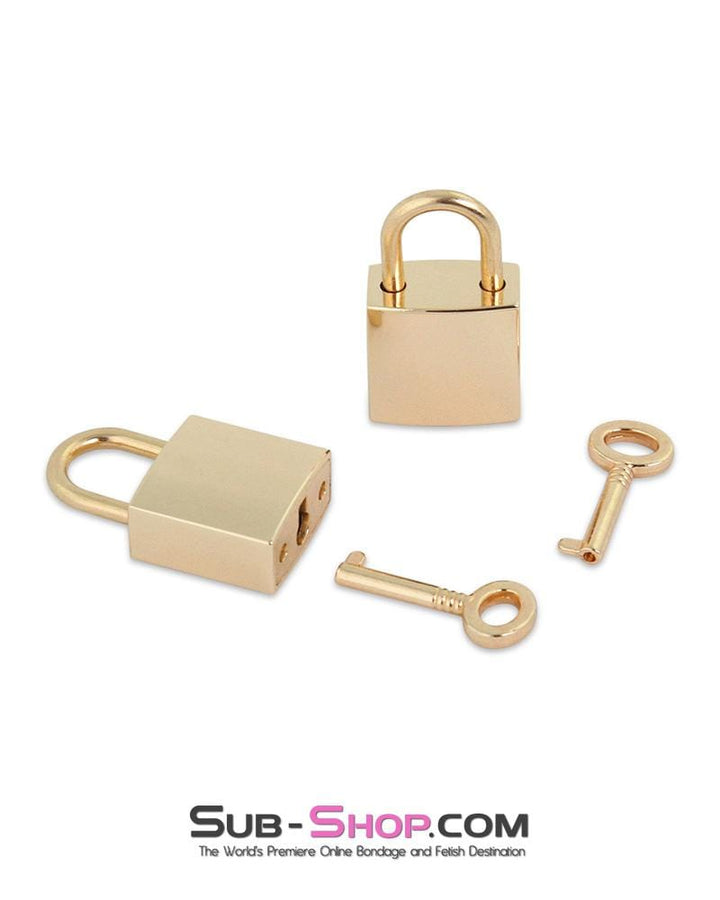 Padlock 0791AE      As Good As Gold Bondage Gear Padlock