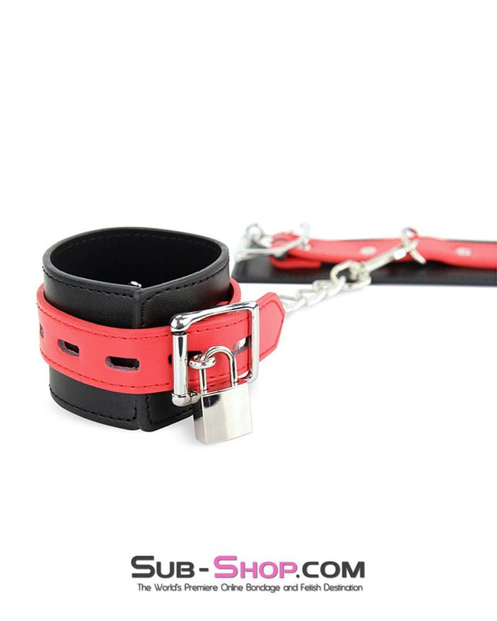 Padlock 0796AE      Sub-Shop Chrome Bondage Gear Padlock