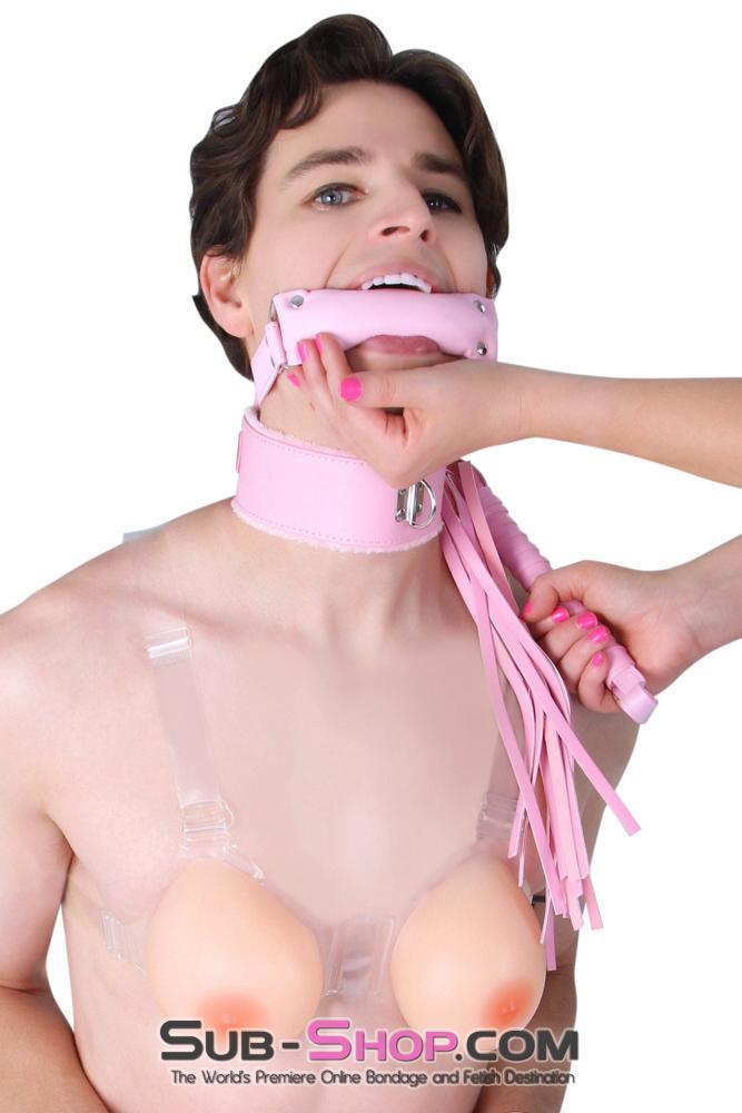 Sissy 0536LT-SIS      Pink Furry Sissy Training Bondage Pretty Sissy Boi Slave Collar & Leash Set