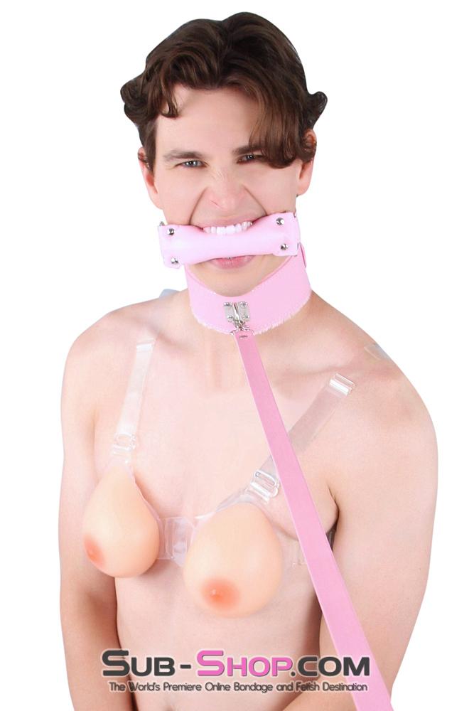 Sissy 0536LT-SIS      Pink Furry Sissy Training Bondage Pretty Sissy Boi Slave Collar & Leash Set