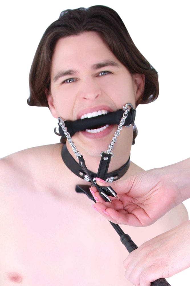 Sissy 0888MQ-SIS      Pretty Sissy Chastity Sissy Slave Bondage Black Strap Silicone Bit Gag with Reins