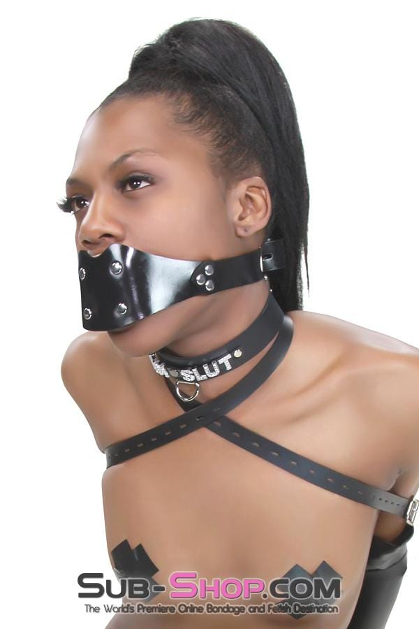 Sissy 1416A-SIS      Sissy Boi Rubberized Locking Dominant Female Rubber Penis Panel Gag