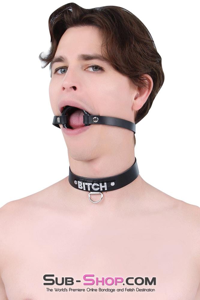 Sissy 1442A-L-SIS      Pretty Sissy Hussy Smooth Plastic Ring Gag, Large Mistress Sessions Ring