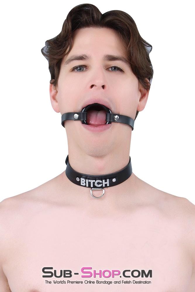 Sissy 1442A-L-SIS      Pretty Sissy Hussy Smooth Plastic Ring Gag, Large Mistress Sessions Ring