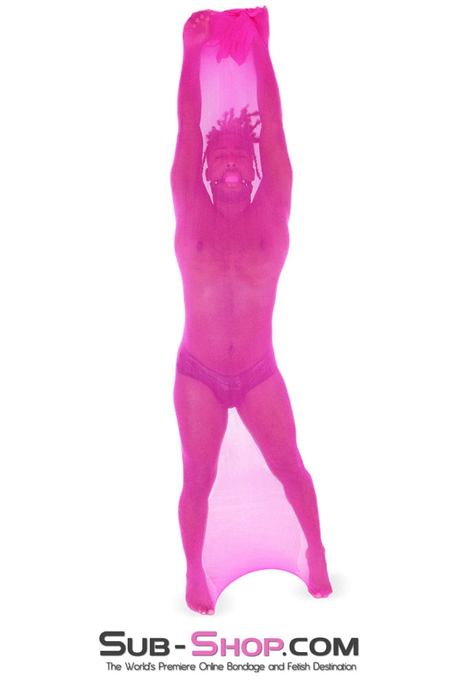 Sissy 1517DL-SIS      Sheer Encasement Sissy Pink Silk Full Body Sack