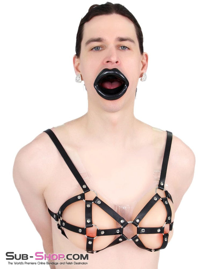 Sissy 1800AE-SIS      Pretty Rag Doll Feminization Sissy Roleplay Gothic Black Sex Sissy Doll Lips Open Mouth Gag