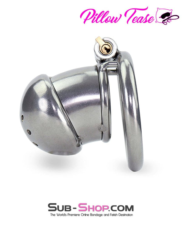 Sissy 1875AR-SIS      Sissy Cock Torment Locking Steel Chastity Cock Cage
