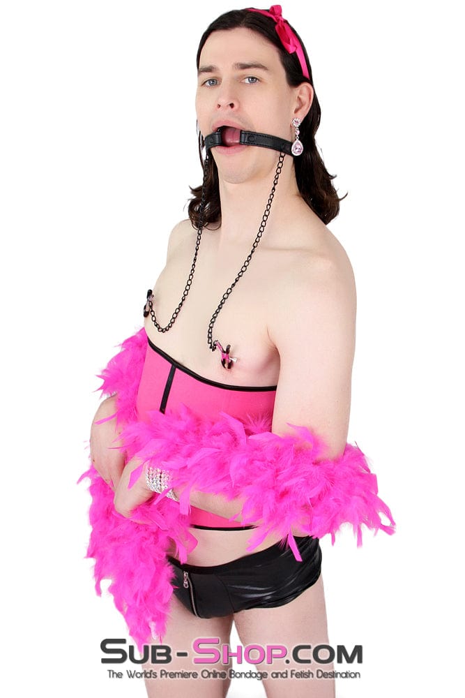 Sissy 2258MQ-SIS      Oh-My Pretty Mistress Sessions Sissy Slave Ring Gag with Black Wicked Nipple Clamps Set