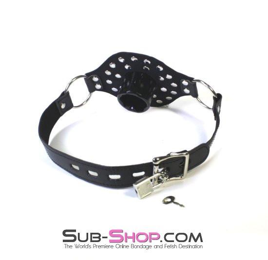 Sissy 2536LT-SIS      Sissy Girlie Slave Set Plug-her Locking Tube & BDSM Training Plug Open Mouth Gag