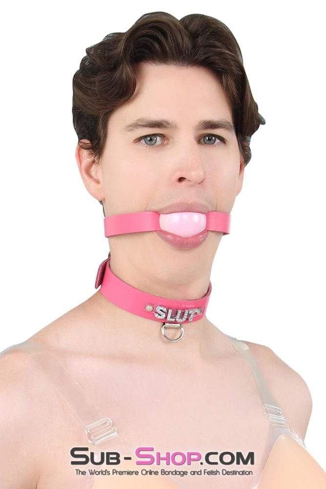 Sissy 2541A-SIS      Sissy Boi Bitch Hot Pink Classic Leather Ball Gag Dominant Woman Strap, Candy Pop Pink Ball