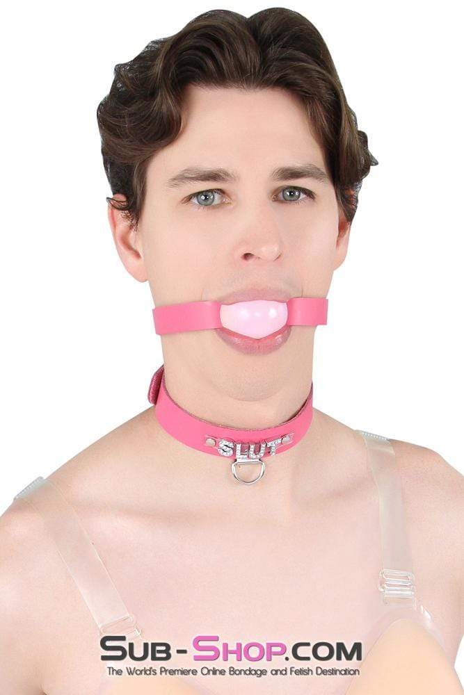Sissy 2541A-SIS      Sissy Boi Bitch Hot Pink Classic Leather Ball Gag Dominant Woman Strap, Candy Pop Pink Ball