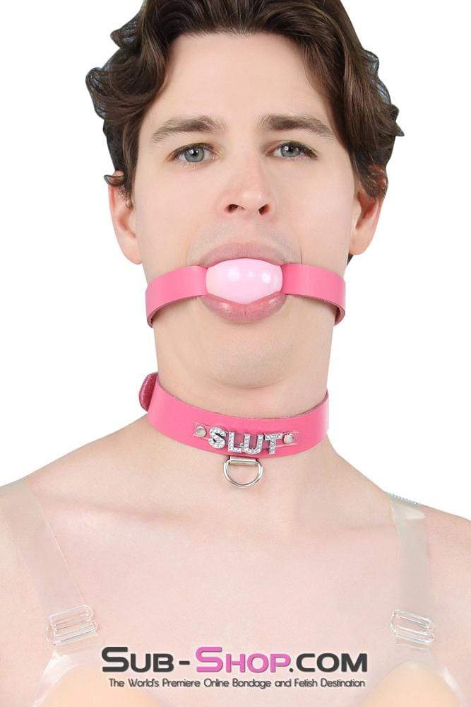 Sissy 2541A-SIS      Sissy Boi Bitch Hot Pink Classic Leather Ball Gag Dominant Woman Strap, Candy Pop Pink Ball