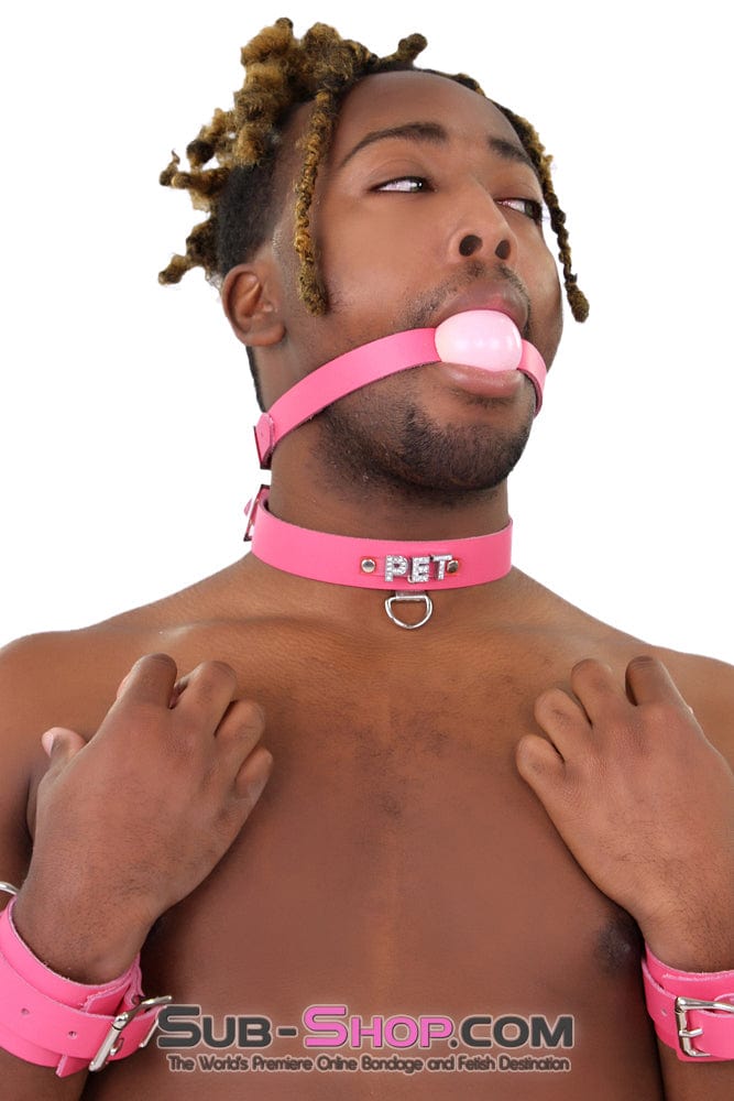 Sissy 2541A-SIS      Sissy Boi Bitch Hot Pink Classic Leather Ball Gag Dominant Woman Strap, Candy Pop Pink Ball