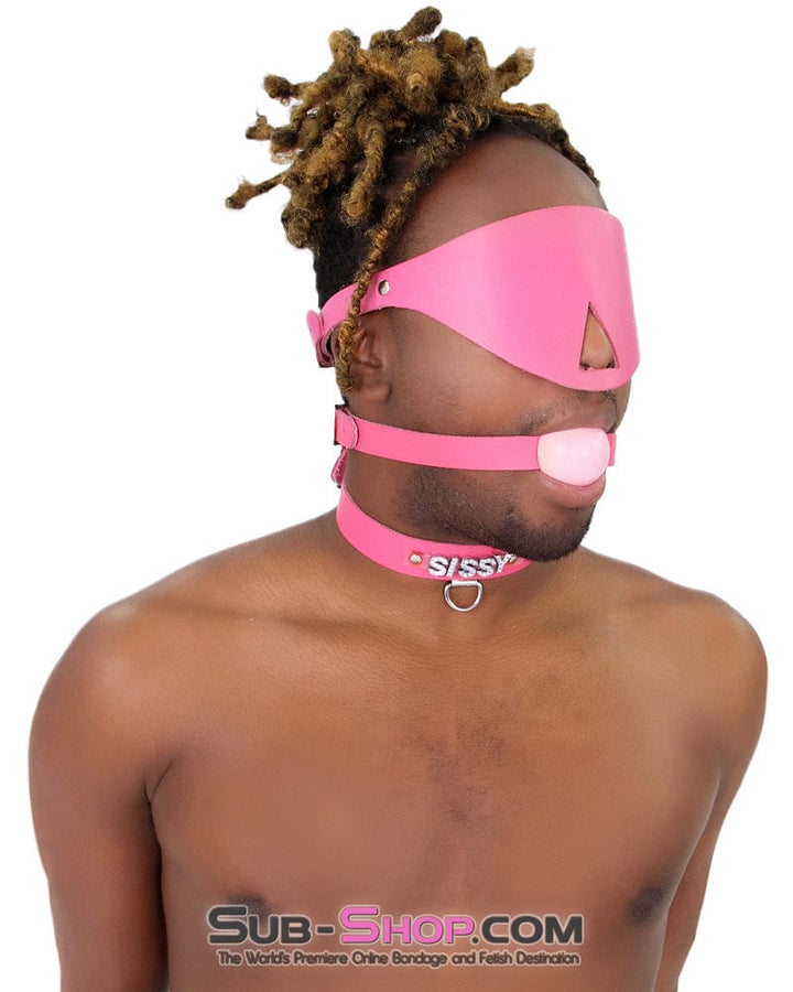 Sissy 7176A-SIS      SISSY Man Boi Hussy Hot Pink Feminization Leather Rhinestone Letter Collar