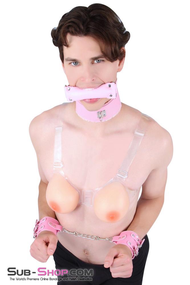 Sissy 8956DL-SIS      Sissy Slave Harlot Sissy Hypnosis Stuffed Pink Bit Gag