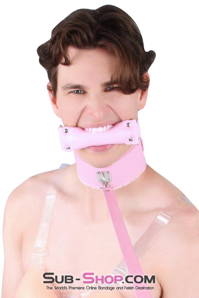 Sissy 8956DL-SIS      Sissy Slave Harlot Sissy Hypnosis Stuffed Pink Bit Gag