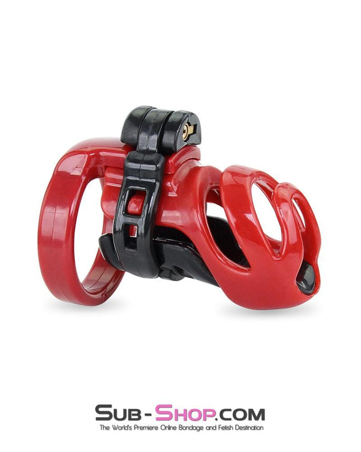 Sissy 9059AE-SIS      Sissy's Long Night High Security Hinged Locking Male Chastity with Prince Albert Device