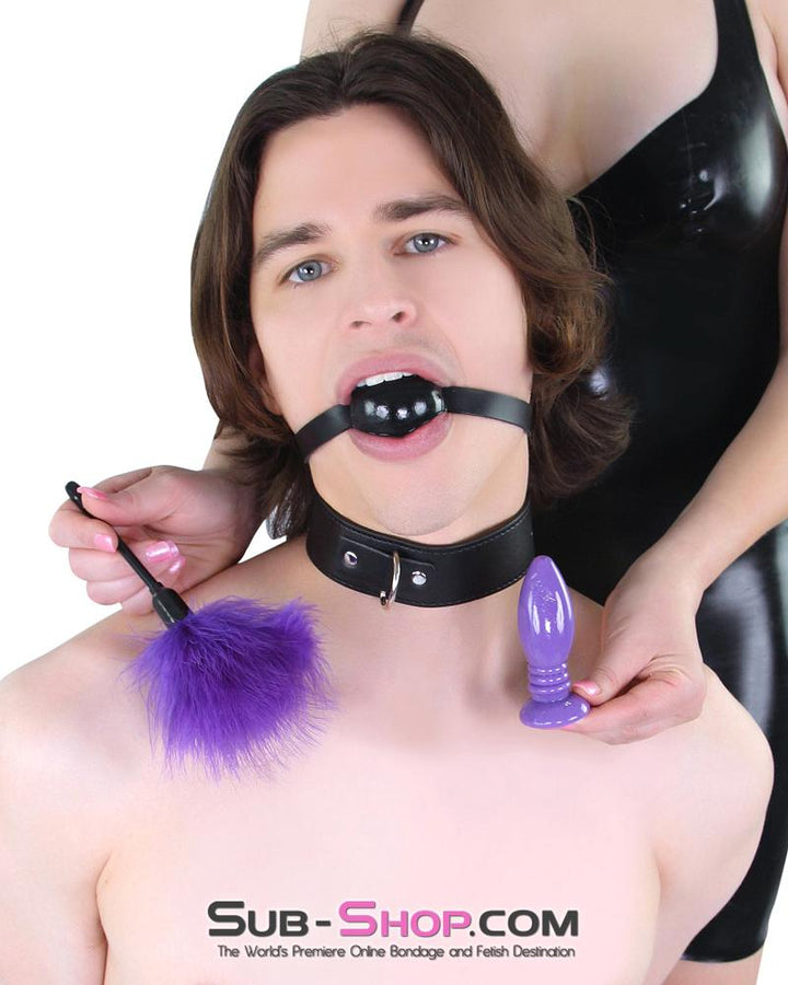 toys 7898M      Royally Teased Purple Lovers Feather Tickler