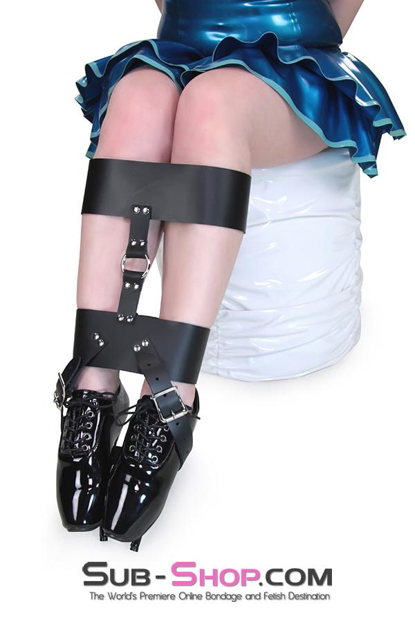 Wrist and Ankle Bondage 0754T      Shoe, Ankle & Knee Overnighter